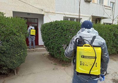 dezinfectare-scari-bloc-etrezirea8